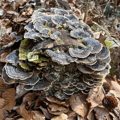 23-03-03 11-48-50 4626